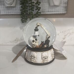 Skeleton Light Up Snow Globe